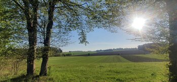 Geschichte